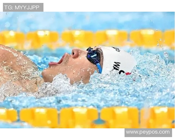 CCTV1直播赛事魅力：精彩瞬间、拼搏精神、观众热情与体育文化传承