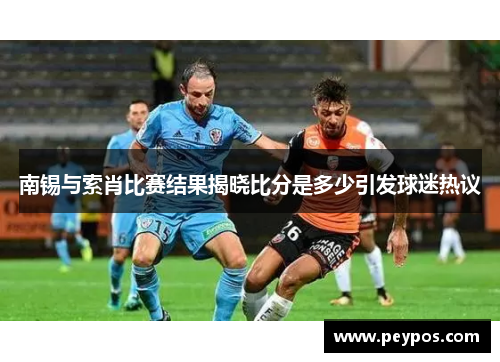 南锡与索肖比赛结果揭晓比分是多少引发球迷热议